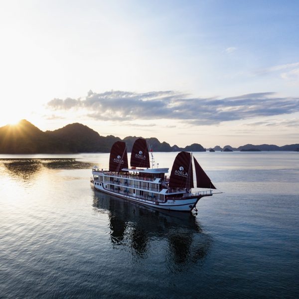Luxury Cruises